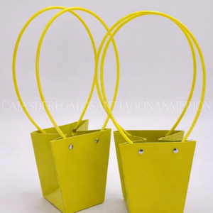BOLSA ELEGANTE CHICA