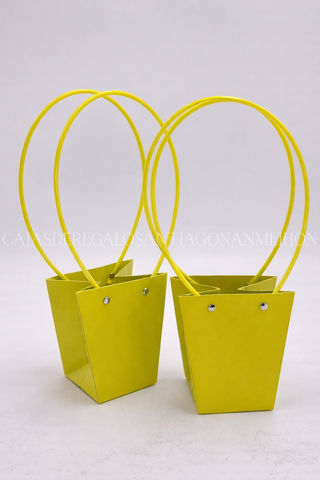 BOLSA ELEGANTE CHICA