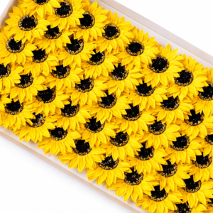 Girasoles de Jabón