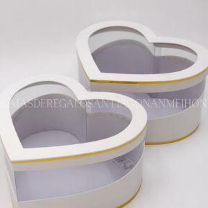SET 2 CAJAS TRANSPARENCIA