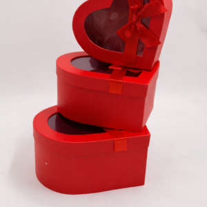 SET 3 CAJAS TRANSPARENCIA