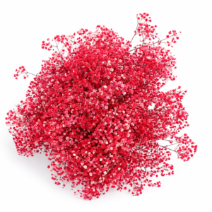 RAMITAS 75 CM ALTO