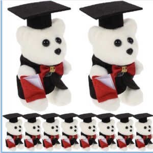 Osito para arreglos graduación