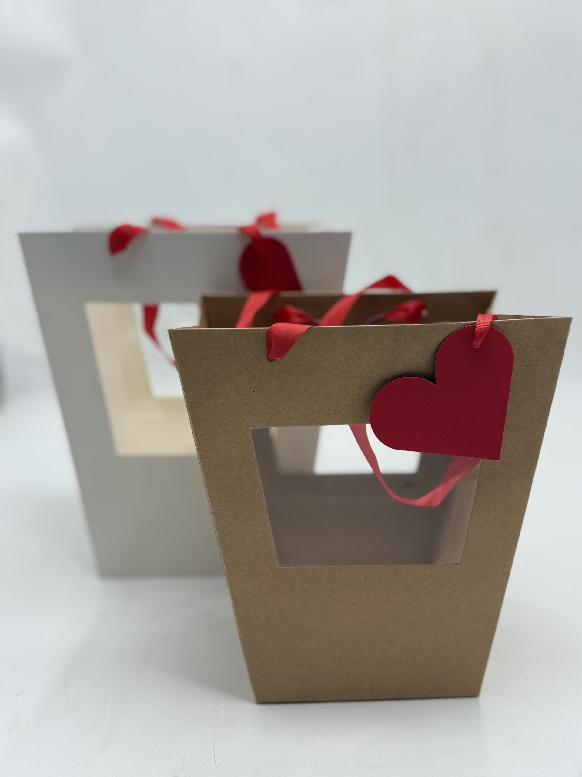 Bolsas de regalo Pack de 10 unidades